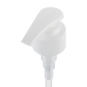 ��28���漭B-���